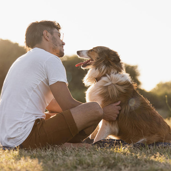 Tips For Keeping Your Dog Healthy And Safe